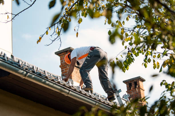 Best Rubber Roofing (EPDM, TPO)  in Perry, OH