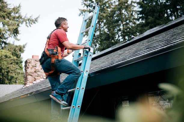 Best Roof Replacement  in Perry, OH