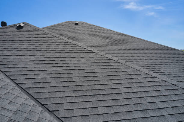Best Roof Moss and Algae Removal  in Perry, OH
